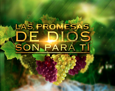 Libro Las Promesas de Dios Son Para Tí