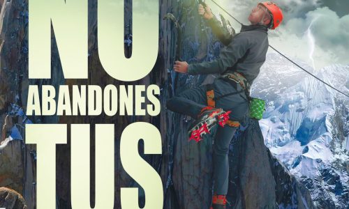 Libro No Abandones Tus Sueños