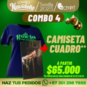 Combo de Navidad 4