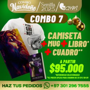Combo de Navidad 7